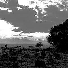 photo "Land of the dead."