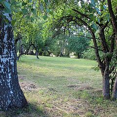 photo "В барском саду"