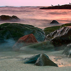 photo "Through the Stones"