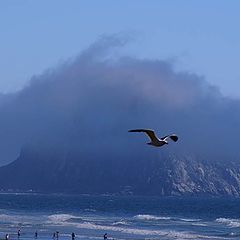 фото "Morro Rock"