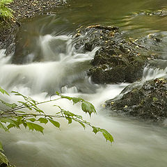 photo "Stream"