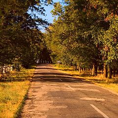 photo "Road"