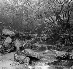 photo "Mountain creek in the mist"