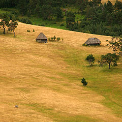 фото "Zlatibor Mountain"