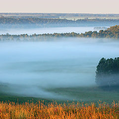 фото "Алтайские мотивы"