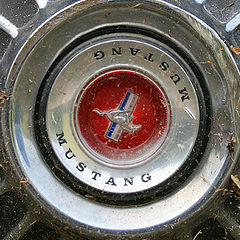 photo "Mustang"