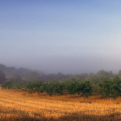 photo "Early Morning in Perigord"