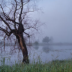 photo "***"