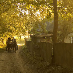 фото "Morning in gold light"