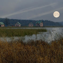 фото "Озеро"