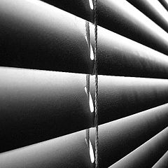 photo "Blinds"