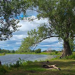 фото "Берег"