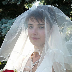 фото "Невеста"