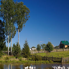 фото "Деревенский уголок"