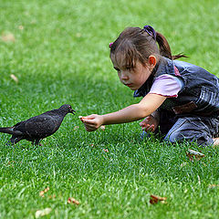 фото "Girl and pigeon, девочка и голубь"