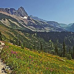 фото "A look back at the highline trail"