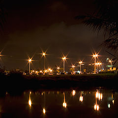 фото "City Lights"