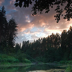 photo "Stony coast"