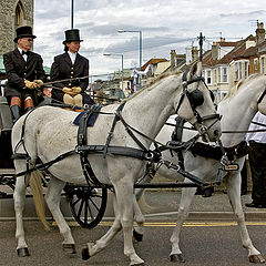 фото "Bride's horse drawn carriage"