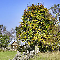 фото "Родная глубинка"