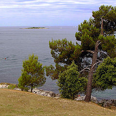 photo "Coast of Croatia"