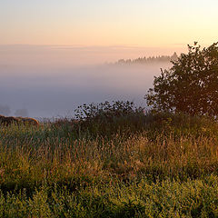 фото "Первые лучи"