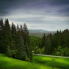 photo "karpaty"