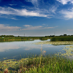 фото "речка, село Доброе"