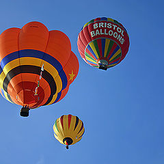 photo "In  the blue sky."