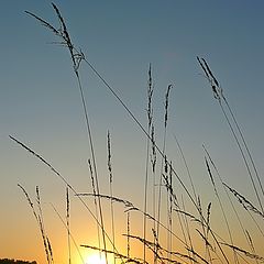 photo "Greeting the sun"