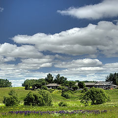 photo "The hot summer in village"