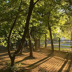 photo "Evening Park"