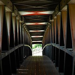 фото "Bridge of wood (Merano)"