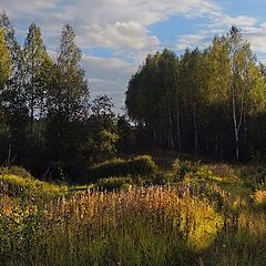 photo "August. Golden Sunset"