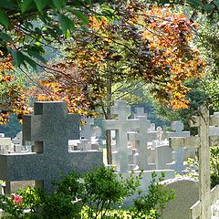 photo "Russian cemetery."