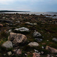 фото "Соловки. Белое море."