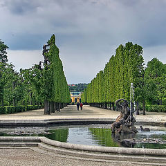 фото "Старый парк"