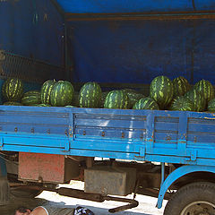 photo "Sweet watermelons, .. sweet drems"