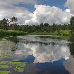 photo "And clouds swim in river"