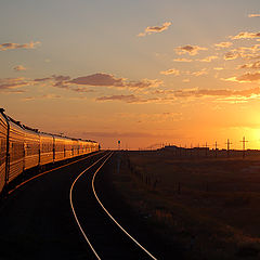 фото "в пути"