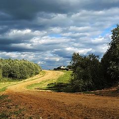 фото "Вечерний зигзаг"