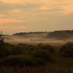 photo "Evening fog"