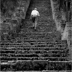 фото "Жизнь - это лестница"