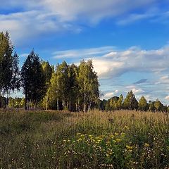 фото "Цветы для Осени"