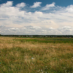 фото "Родные просторы"