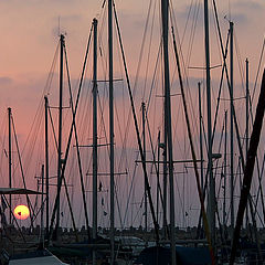 photo "Punta Arenas in the evening..."