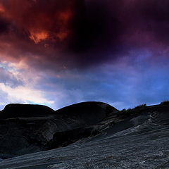 photo "Standing against the storm"