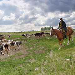 photo "Cowboy"