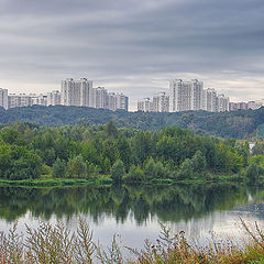 фото "Хмурое утро"