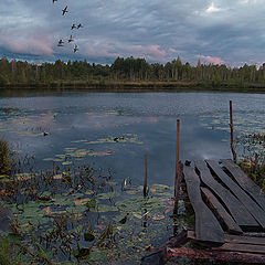 фото "Время перелета"